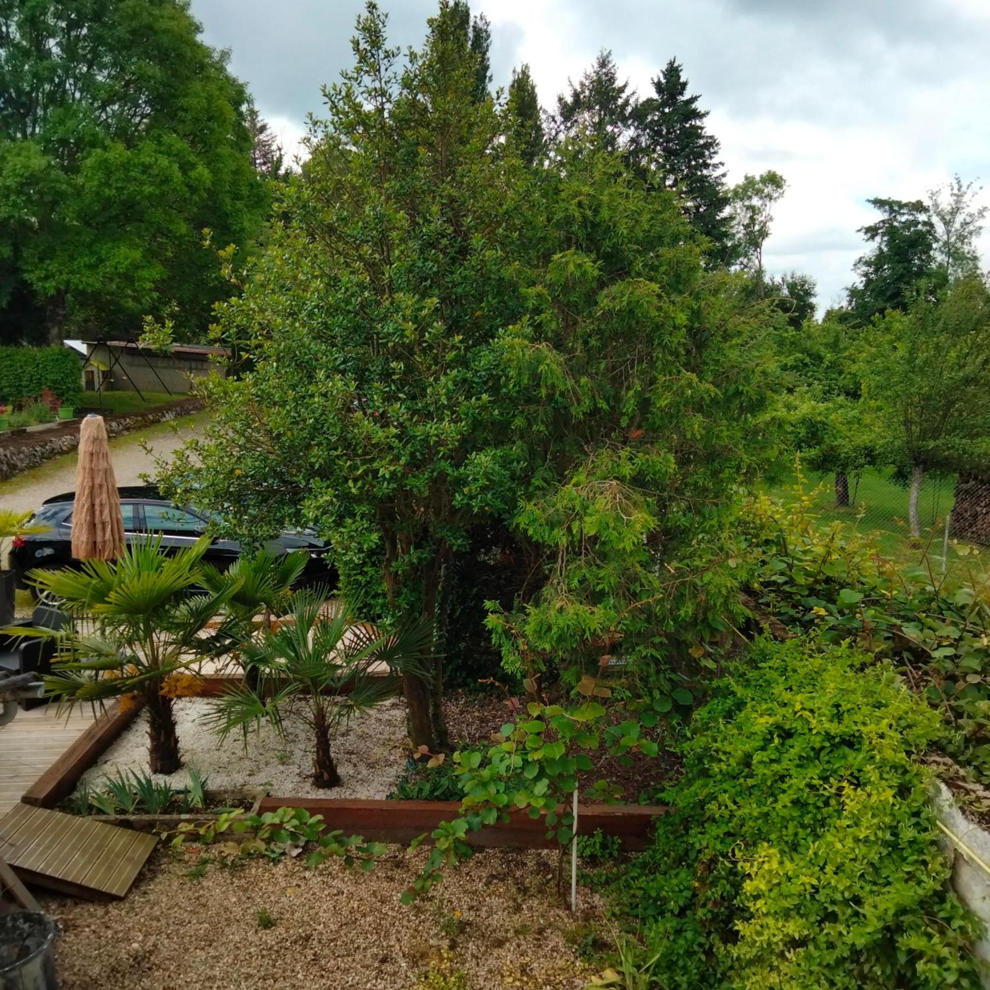 Bed and Breakfast Le Jack Mont-sous-Vaudrey Екстер'єр фото